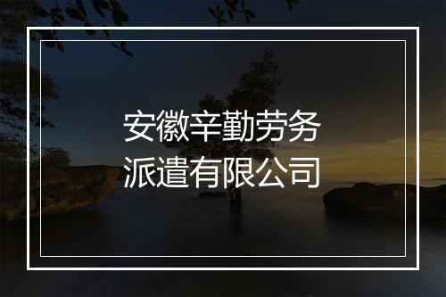 安徽辛勤劳务派遣有限公司