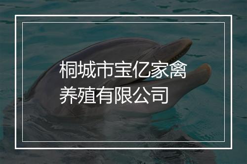 桐城市宝亿家禽养殖有限公司