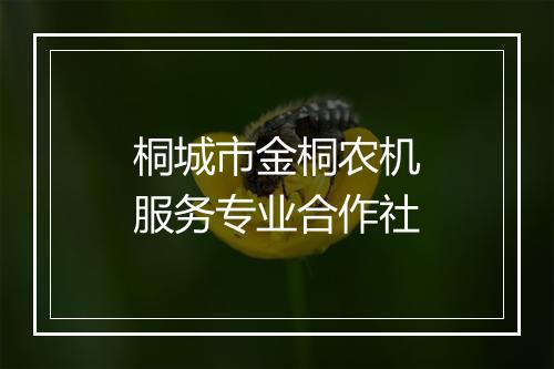 桐城市金桐农机服务专业合作社