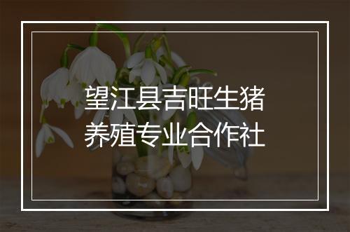 望江县吉旺生猪养殖专业合作社