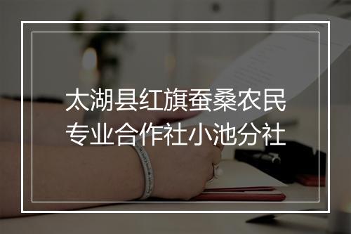 太湖县红旗蚕桑农民专业合作社小池分社