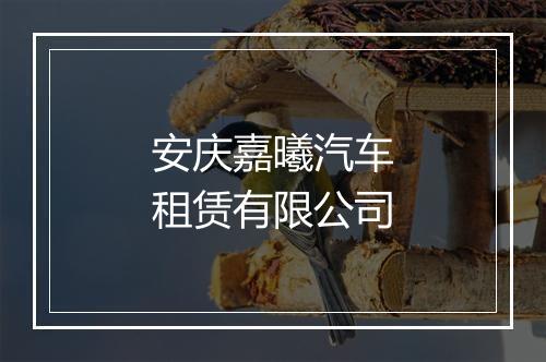 安庆嘉曦汽车租赁有限公司