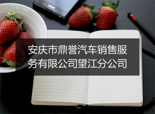 安庆市鼎誉汽车销售服务有限公司望江分公司