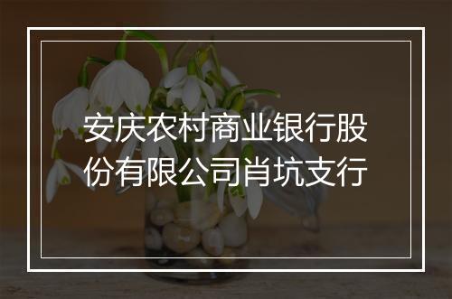安庆农村商业银行股份有限公司肖坑支行