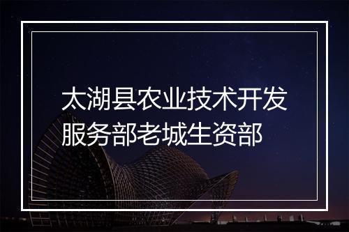 太湖县农业技术开发服务部老城生资部