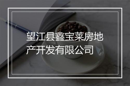 望江县鑫宝莱房地产开发有限公司