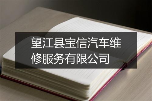 望江县宝信汽车维修服务有限公司