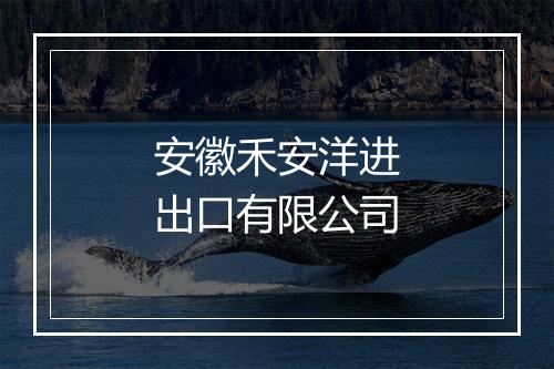 安徽禾安洋进出口有限公司