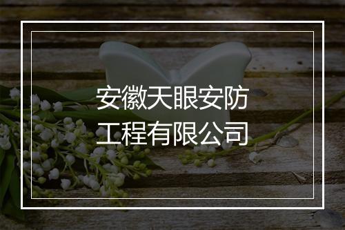 安徽天眼安防工程有限公司