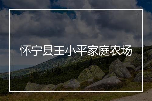 怀宁县王小平家庭农场