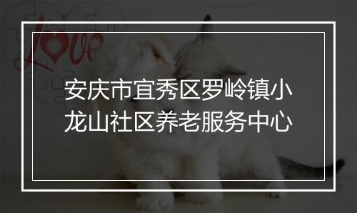 安庆市宜秀区罗岭镇小龙山社区养老服务中心