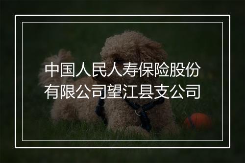 中国人民人寿保险股份有限公司望江县支公司