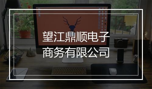 望江鼎顺电子商务有限公司