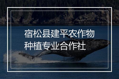 宿松县建平农作物种植专业合作社