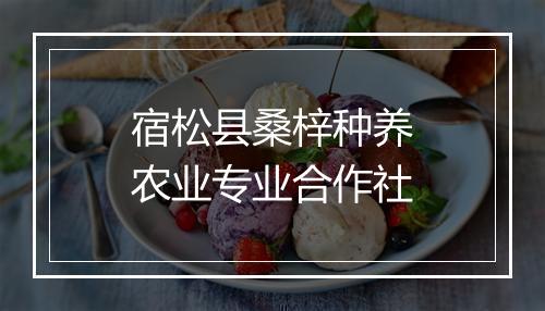 宿松县桑梓种养农业专业合作社