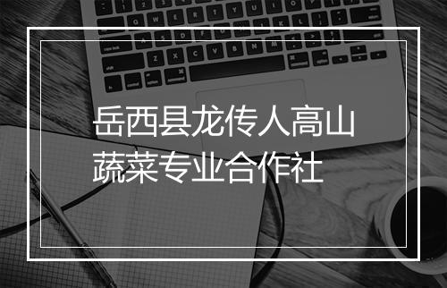 岳西县龙传人高山蔬菜专业合作社