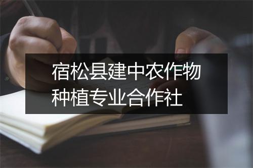 宿松县建中农作物种植专业合作社