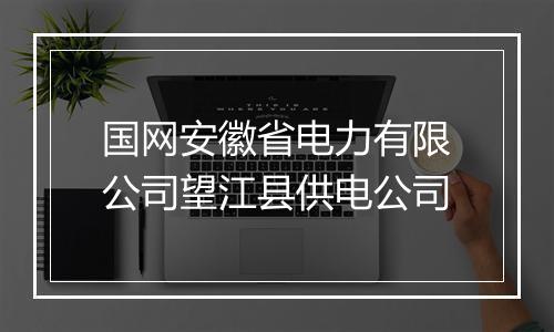 国网安徽省电力有限公司望江县供电公司