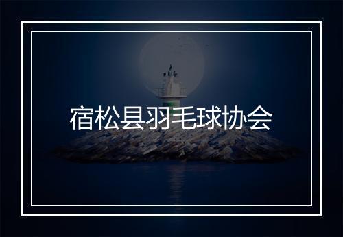 宿松县羽毛球协会