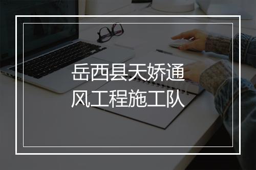 岳西县天娇通风工程施工队