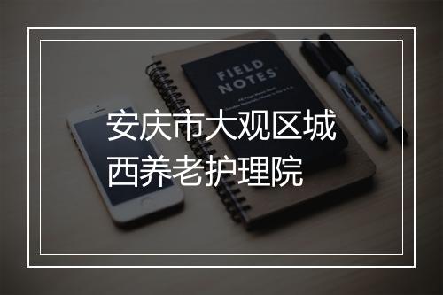 安庆市大观区城西养老护理院