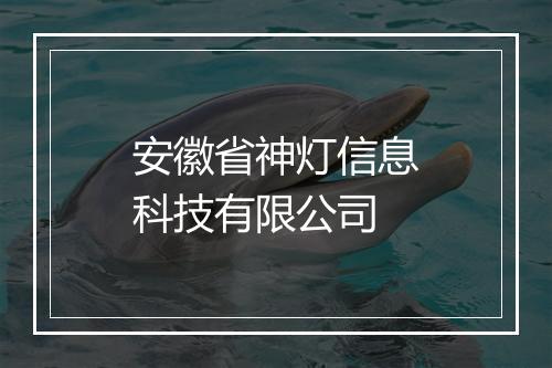 安徽省神灯信息科技有限公司