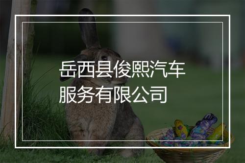 岳西县俊熙汽车服务有限公司