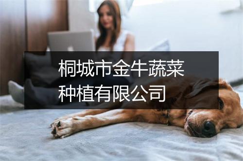桐城市金牛蔬菜种植有限公司