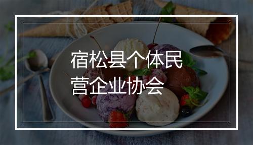 宿松县个体民营企业协会