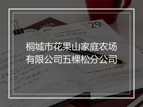 桐城市花果山家庭农场有限公司五棵松分公司