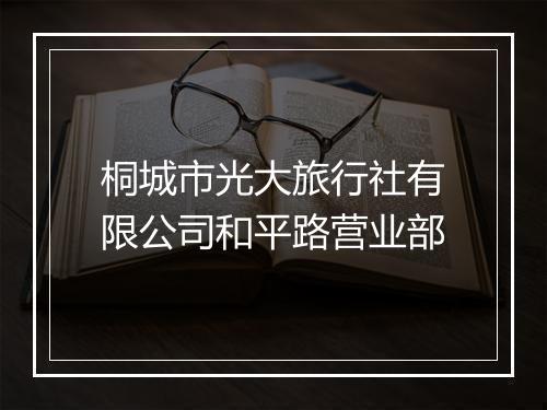 桐城市光大旅行社有限公司和平路营业部
