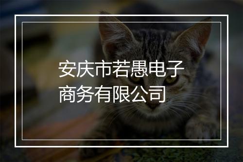 安庆市若愚电子商务有限公司