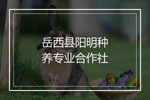 岳西县阳明种养专业合作社