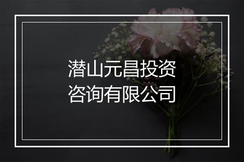 潜山元昌投资咨询有限公司