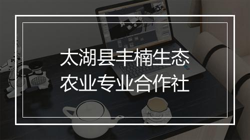 太湖县丰楠生态农业专业合作社