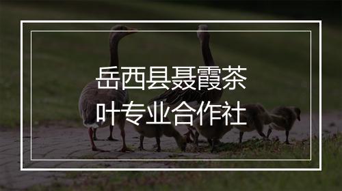 岳西县聂霞茶叶专业合作社