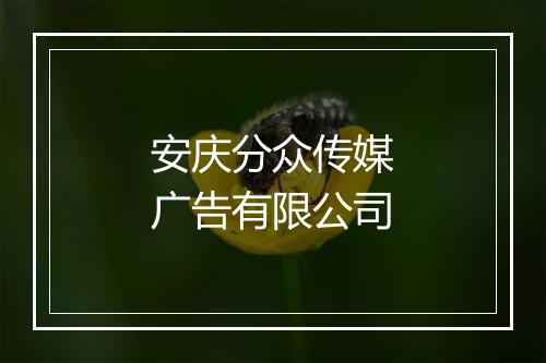 安庆分众传媒广告有限公司