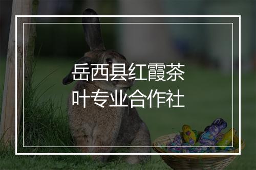 岳西县红霞茶叶专业合作社