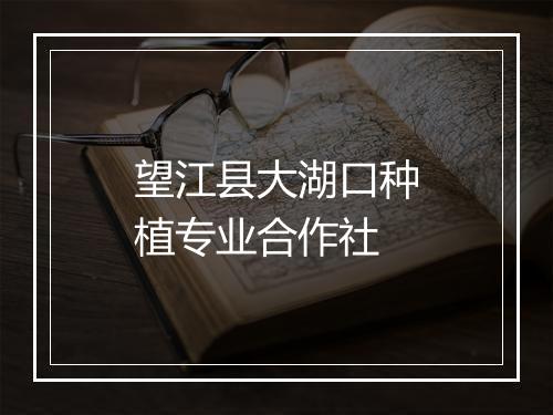 望江县大湖口种植专业合作社