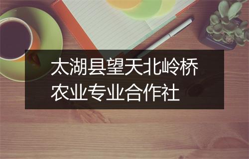太湖县望天北岭桥农业专业合作社
