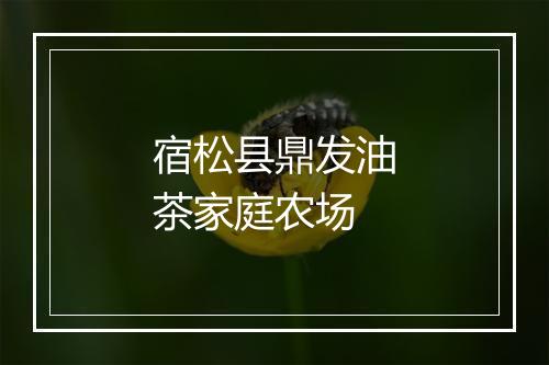 宿松县鼎发油茶家庭农场