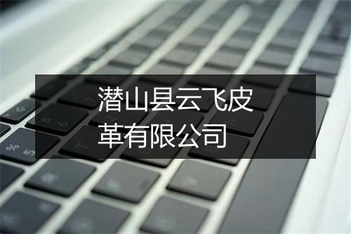 潜山县云飞皮革有限公司
