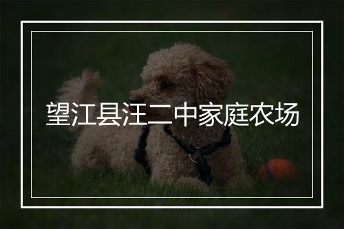 望江县汪二中家庭农场