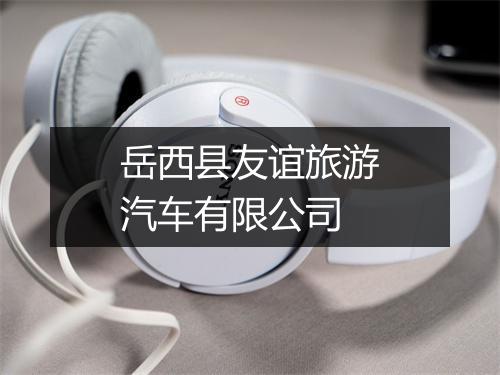 岳西县友谊旅游汽车有限公司