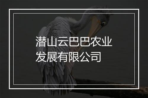 潜山云巴巴农业发展有限公司