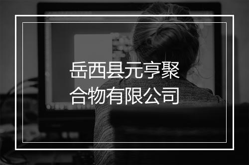 岳西县元亨聚合物有限公司