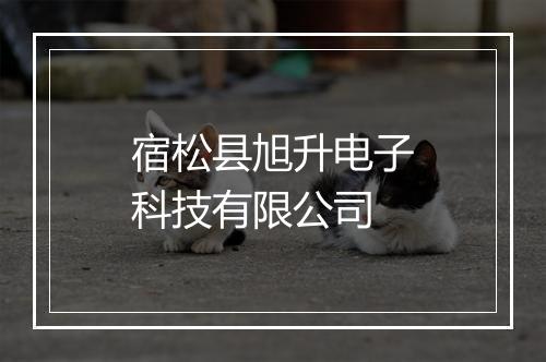 宿松县旭升电子科技有限公司