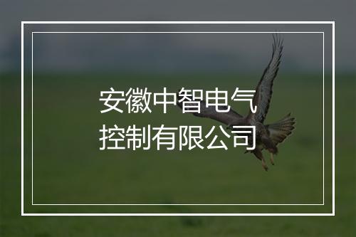 安徽中智电气控制有限公司