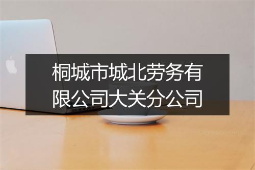 桐城市城北劳务有限公司大关分公司