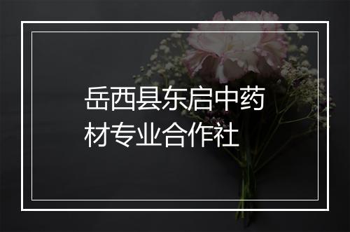 岳西县东启中药材专业合作社